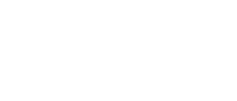 Fox Spirit